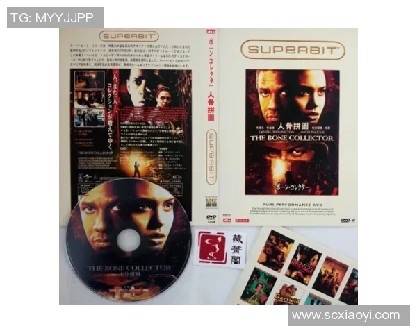 华盛顿神秘人揭开阳光背后的秘密与真相之争 华盛顿神秘人揭开阳光背后的秘密与真相之争