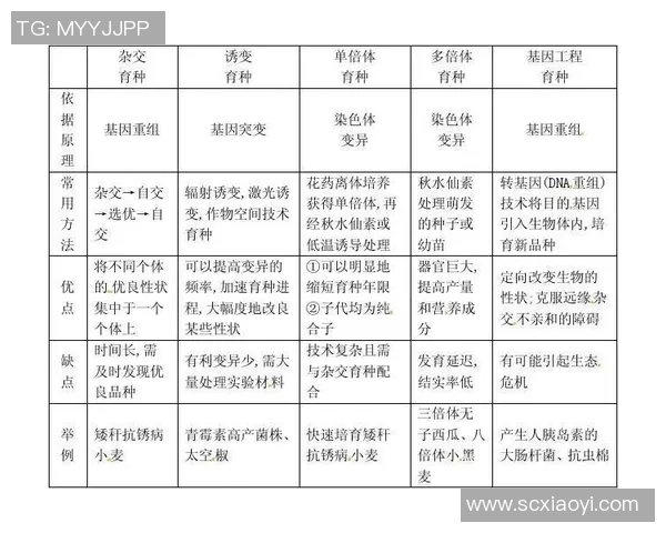 江西卷与江苏卷的对比分析探讨高考命题的差异与特色 江西卷与江苏卷的对比分析探讨高考命题的差异与特色