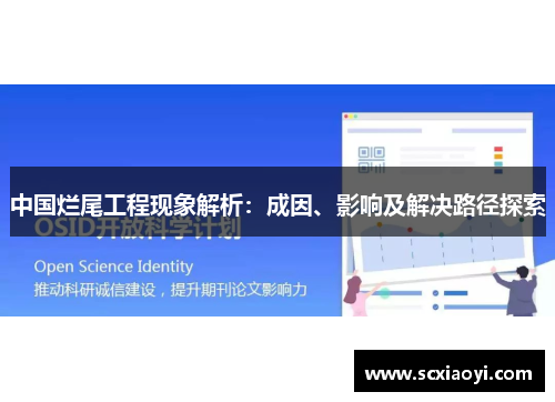 中国烂尾工程现象解析：成因、影响及解决路径探索