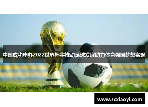 中国成功申办2022世界杯将推动足球发展助力体育强国梦想实现