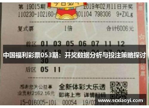 中国福利彩票053期：开奖数据分析与投注策略探讨