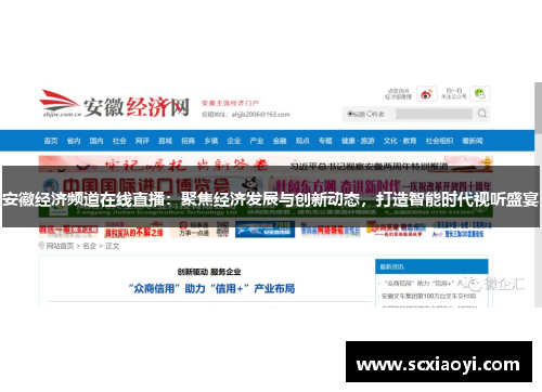 安徽经济频道在线直播：聚焦经济发展与创新动态，打造智能时代视听盛宴
